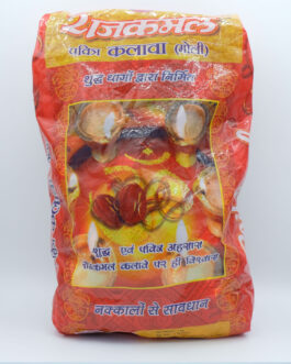 RAJKAMAL KALAVA (MOLI)
